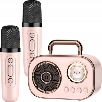 Zestaw do karaoke  radio fm dwa mikrofony modulacja głosu powystawowy