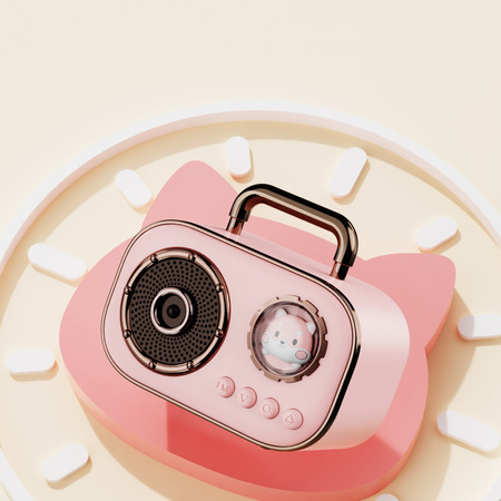 Zestaw do karaoke AMT AMT-DZ015 radio fm dwa mikrofony modulacja głosu