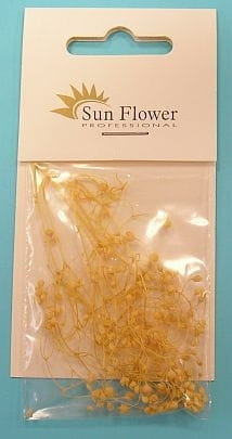 Kwiaty Suszone - Kw3