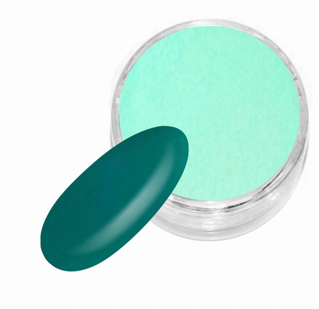 Puder Akrylowy Kolorowy 723 - Zielony Turkus - Sugar Effect4g
