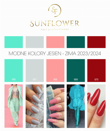 Gelaq Nr 670  Lakier Hybrydowy UV - Mikołajkowy Czar