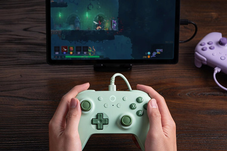Pad Przewodowy 8Bitdo Ultimate 2C Green Hall Effect Android PC