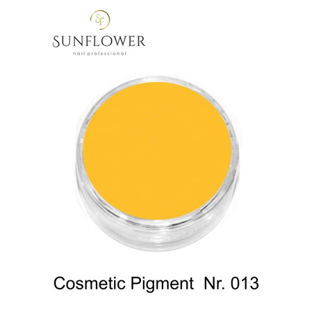 Cosmetic Pigment  Cp013 Light Orange  Smokey Effect !
