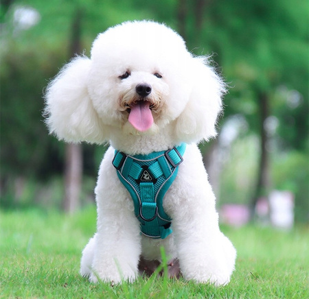 Szelki dla kota / psa WYGODNE BEZUCISKOWE S