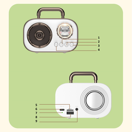 Zestaw do karaoke  radio fm dwa mikrofony modulacja głosu powystawowy