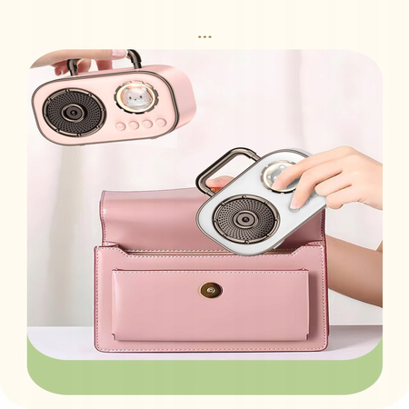 Zestaw do karaoke  radio fm dwa mikrofony modulacja głosu powystawowy