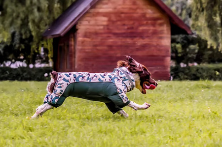 KURTKA DLA PSA kamizelka UBRANKO moro Rozmiar XXL