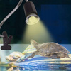 Lampa Grzewcza do Terrarium z Klipsem 75W – UVB dla Żółwi i Gadów
