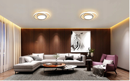 LAMPA SUFITOWA LED 1 punkt światła zintegrowane źródło LED BIAŁA 6500K