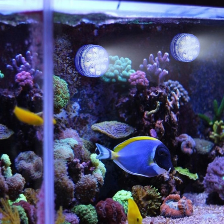 OŚWIETLENIE BASENU 4 SZTUKI PODWODNE BASENOWE LED RGB