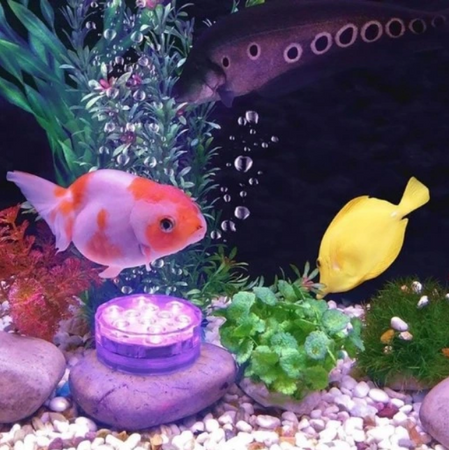 Wodoodporne lampy LED RGB z pilotem do JACUZZI, BASENU, AKWARIUM 3xAAA IP68