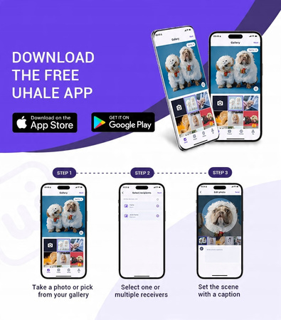 CYFROWA RAMKA NA ZDJĘCIA FRAMEO WI-FI 10,1" WYSOKA PANEL 32G PAMIĘCI