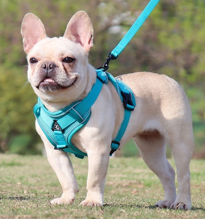 Szelki dla kota / psa WYGODNE BEZUCISKOWE S