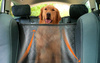 MATA do samochodu dla psa kota zwierzaka na fotel wodoodporna CZARNA XL