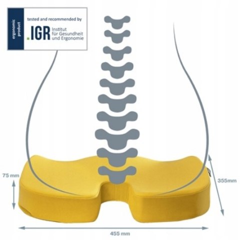Ortopedyczna poduszka na krzesło Leitz Ergo Cosy