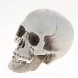 Figurka czaszki Halloween