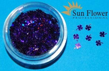 Koniczynka Kn40 - Hologram