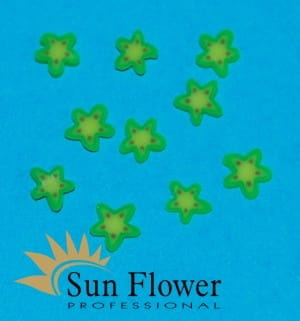 Owoce Karamboli - Nr 70